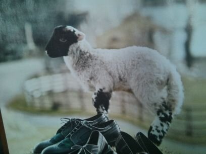 AmyMo1021's profile picture. 