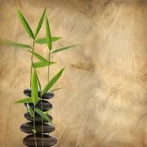 I am the owner of The Health & Healing Magazine and a Reiki Practioner, Meditation Instructor, Medicine Wheel Facilitator and love essential oils and teachings.