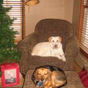 mark weed - @markweed - Twitter