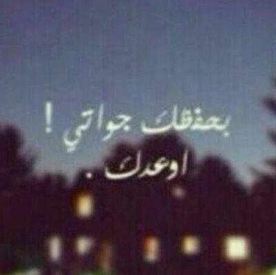 aboood123341's profile picture. Abha