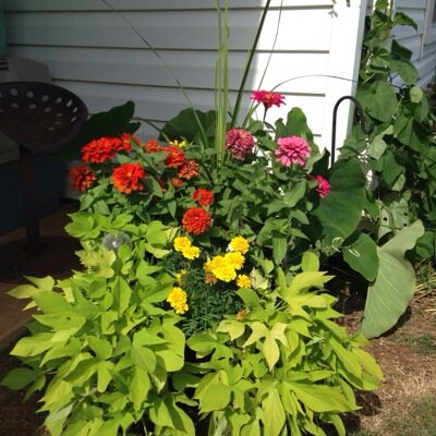 NikLLMc's profile picture. 