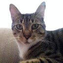 Jerrie Woods - @jagrothe - Twitter