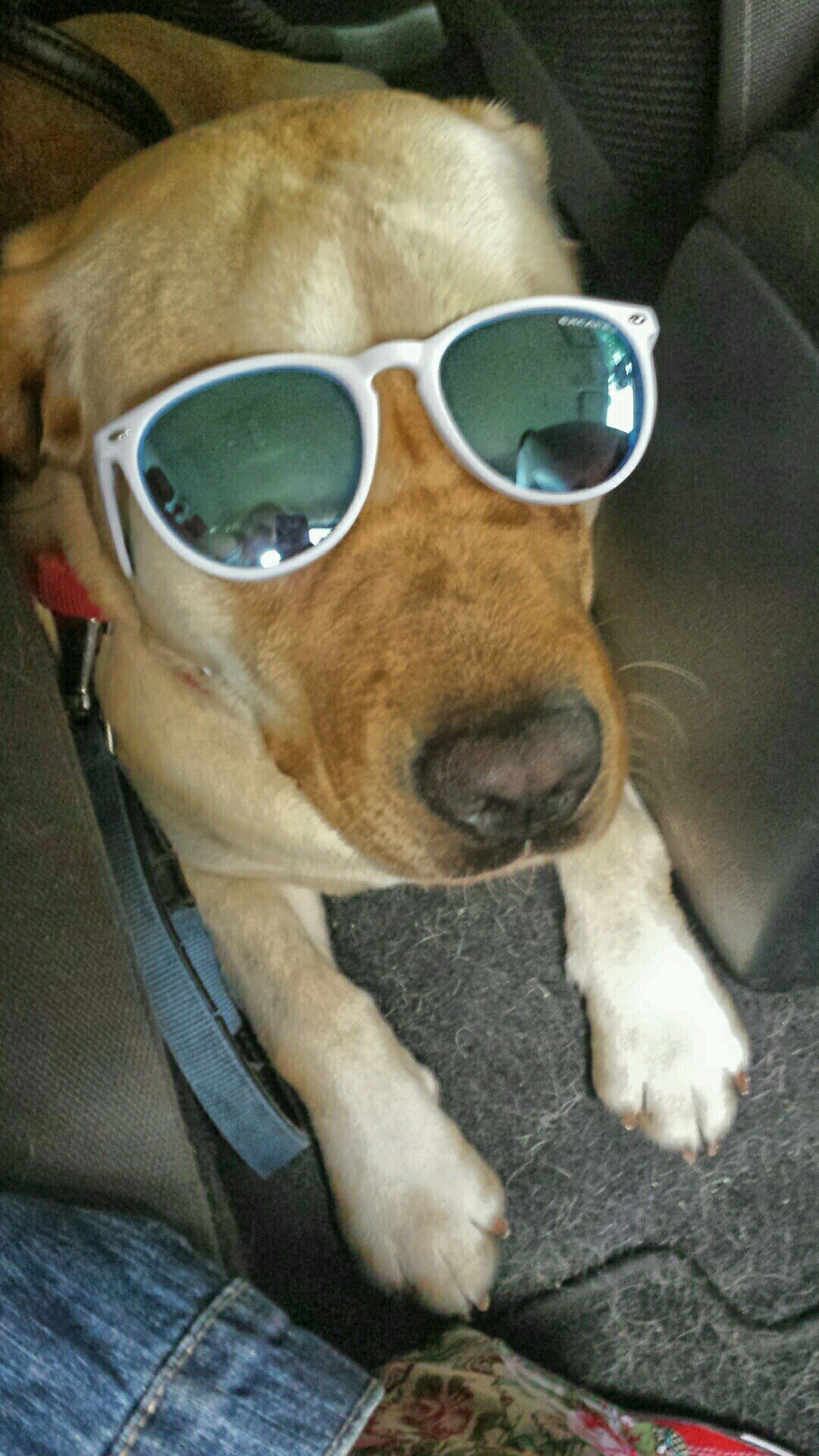 YuliaYulia73's profile picture. 