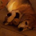 Carrie Steele - @CarrieLSteele - Twitter