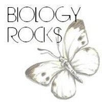 Biology Rocks (@biologyrocksllc) 's Twitter Profile Photo