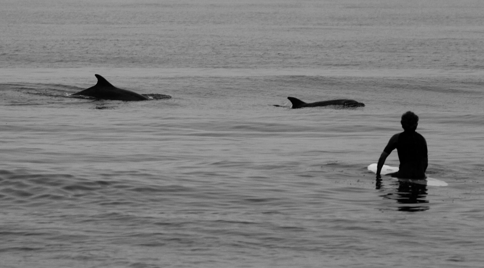 RMechur's profile picture. 