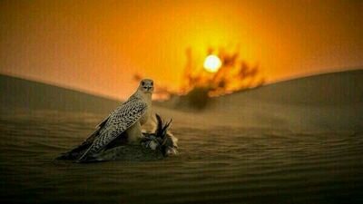 سبحان الله