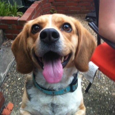 Can_Dance82's profile picture. 