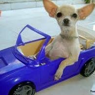 yooo digo lo que sea..!!!!!