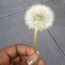 nicki reid - @nickireid94 - Twitter