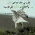 Assmd فههههههههد (@khanassmd) Twitter profile photo