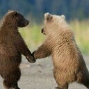 Maribel Ávalos - @MaribelValos - Twitter