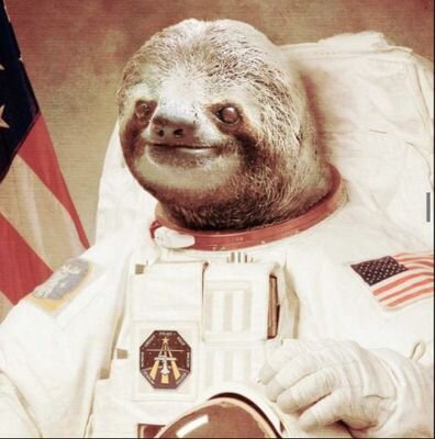 I liv in Tree, South 'Merica
I'm friends with Goat
I B POPPIN THOSE BALLS!!!!!