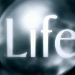 The best facts on everything in life