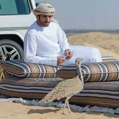 ‏‏البرنس الجنوب