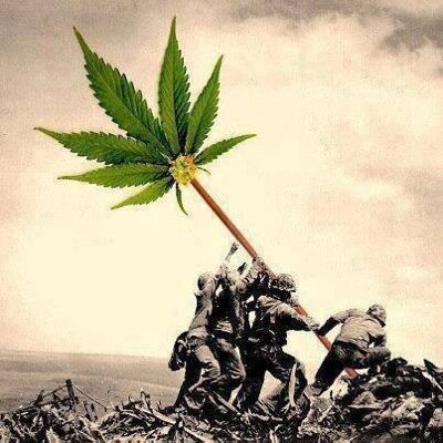 Welcome to my Twitter & Instagram! Please Note: None of the illicit material shared is distributed or produced by myself, i'm a Cannabis Activist not a criminal