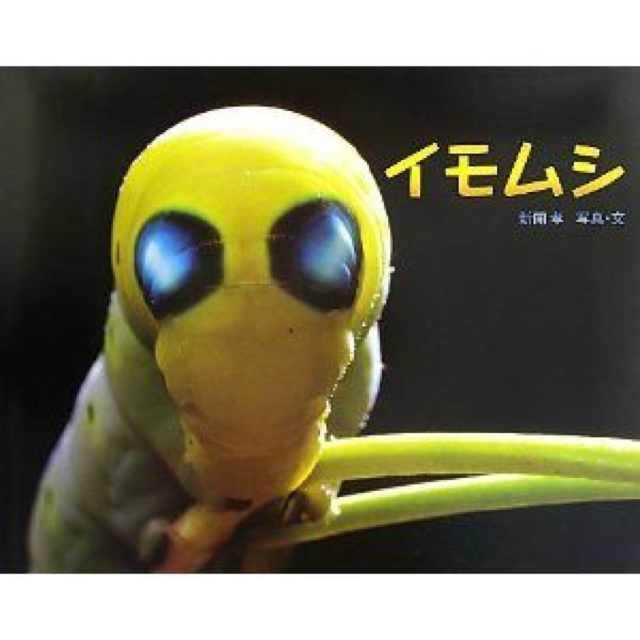 mathmax2's profile picture. ........