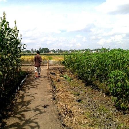 OkdiRifaldi's profile picture. Bersekolah di SMPN 3 Kepanjen