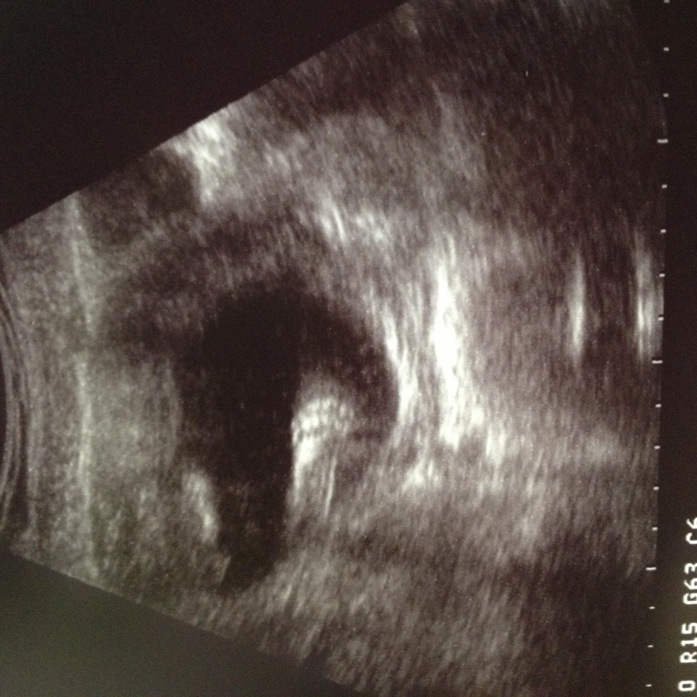 KrazyKeiki's profile picture. The transition from a briefcase to a diaper bag and all that's necessary to fill it. Being practical, yet simplistic.