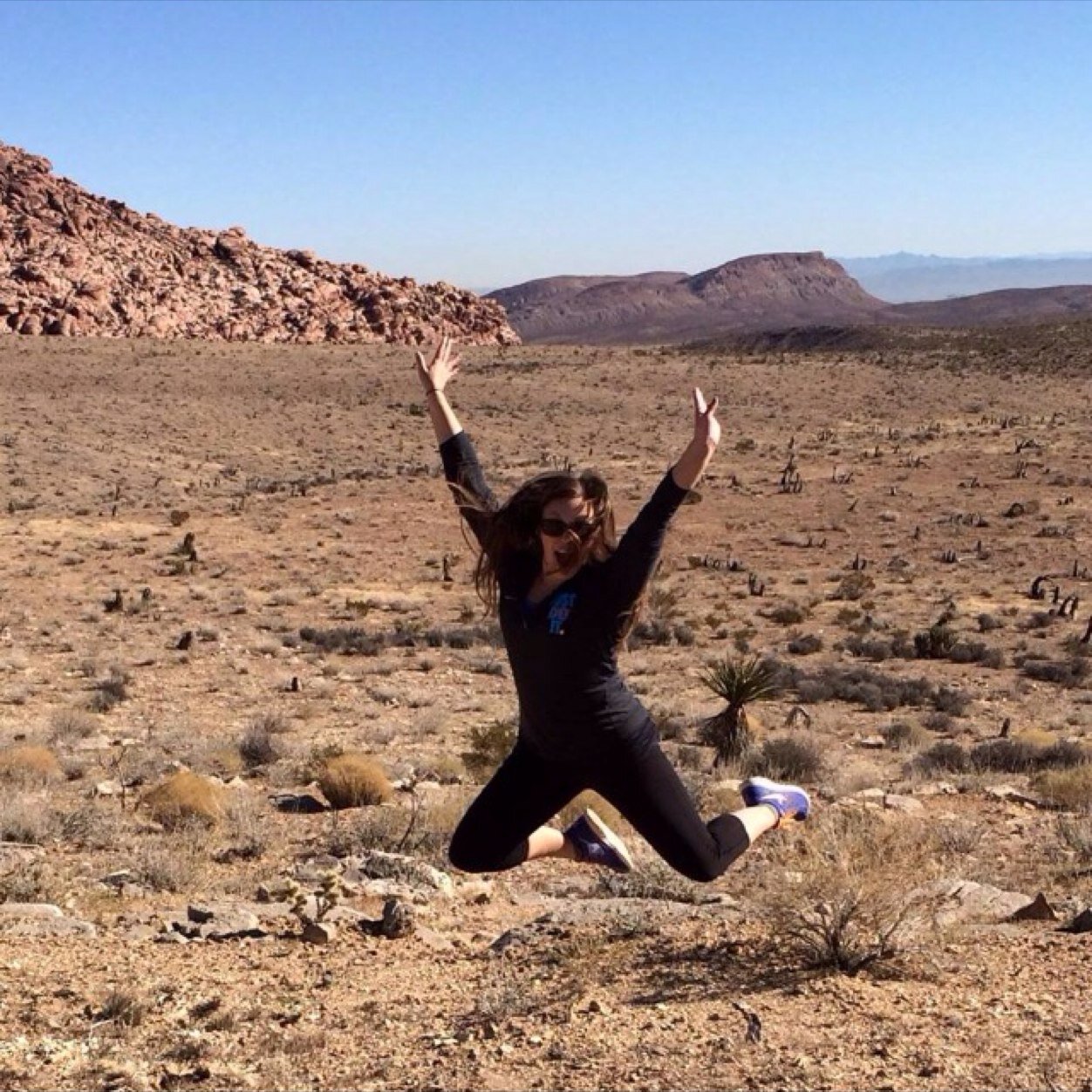 Alison_Tea's profile picture. NYC. 🦊⚜️🥑🗽🚴🏻‍♀️🦄