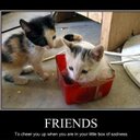 Deborah Rosen - @DRosen1212 - Twitter