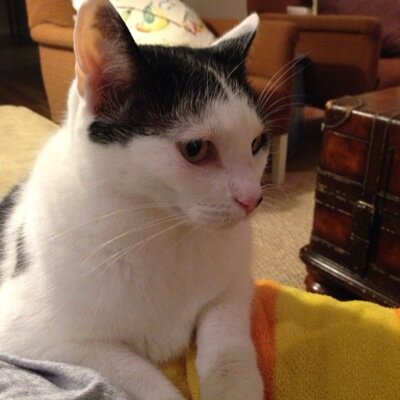 mkatevarner's profile picture. 