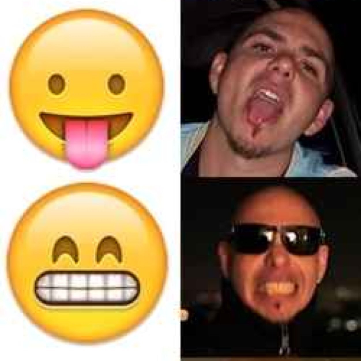 GAY4PITBULL's profile picture. 