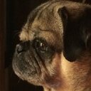 Erica Bode - @erica_bode - Twitter