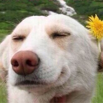 ursuperhot's profile picture. i follow the cuties on twitter