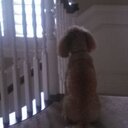 Will Blanton - @willievon - Twitter