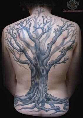 Ms7237's profile picture. 