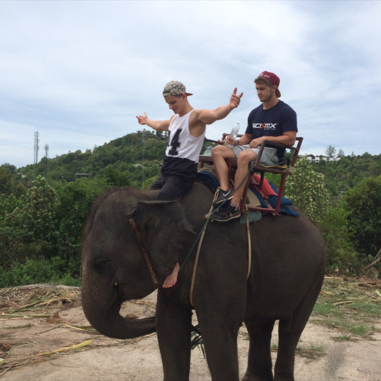 THORPROB's profile picture. 