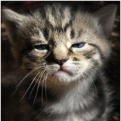 PervChick's profile picture. Perverted Chick!!!