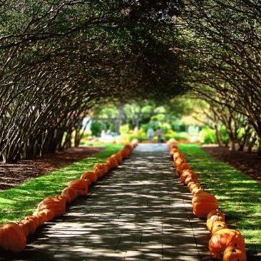 SentaFuller's profile picture. Working  ... Passionate alcohol geek ...choose ... General bacon lover ,  Friendly social media junkie  ...