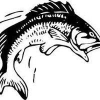 AllisFishing (@allisfishing) 's Twitter Profile
