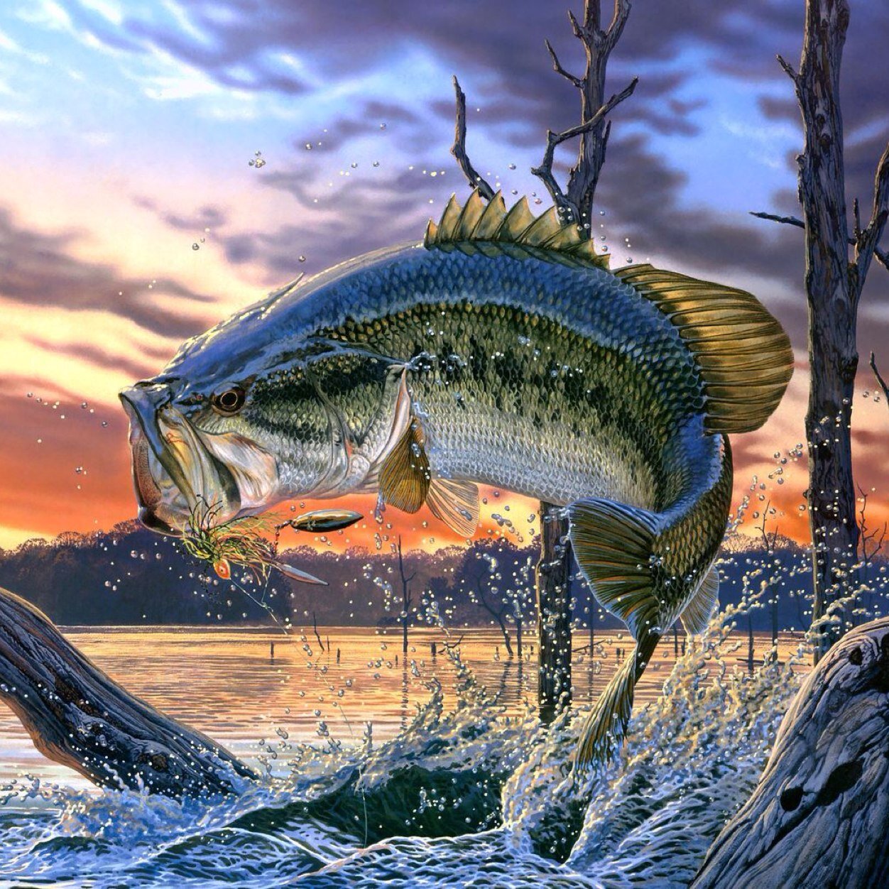 ReelinHogs's profile picture. Fishin
