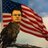 RVSporting14's profile image