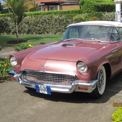 centalack's profile picture. 