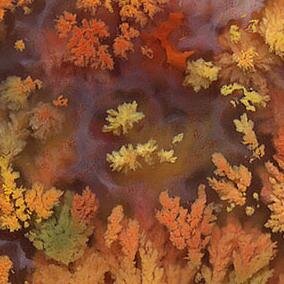 OldSchoolRock55's profile picture. Welcome to the Old School Rock Shop! The place for Oregon lapidary rocks. Born and raised in the mecca of rockhounding, I am blessed to be a rock shop owner.