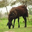 Alfred Potter - @PotterAlfred - Twitter