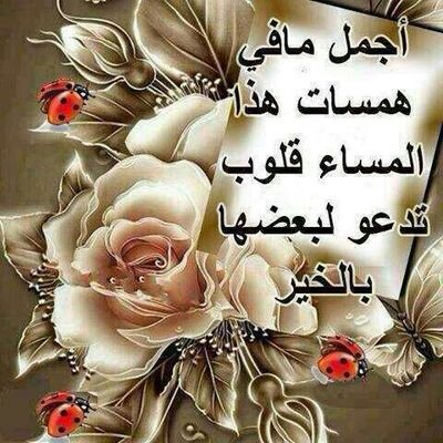 ‏أنسان بسيط احب الحياة بﻻ قيود