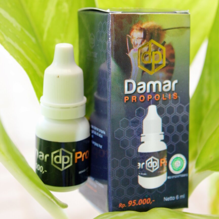 Damar terbuat dari propolis murni tanpa campuran alkohol. Damar mengandung 250 mg/ml propolis murni.