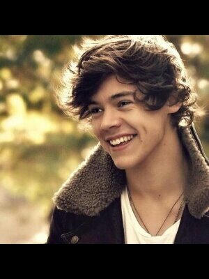 When I was ten me and Harry (my twin) were walking home. I saw a bunny, went after it and never seen him since. He probably doesn't even remember me. (RP GAY)