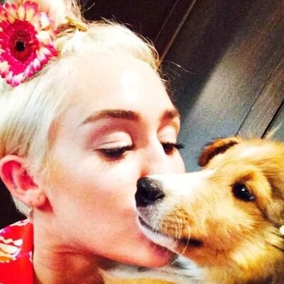 emu_coyne's profile picture. Im a new to the cyrus dog family making my mommy happy is all that matters to me woof woof account owend by miley curus / mommy ❤️