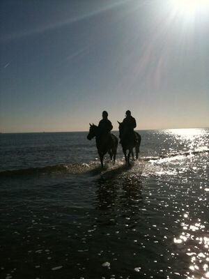 MONAGHAN444's profile picture. 