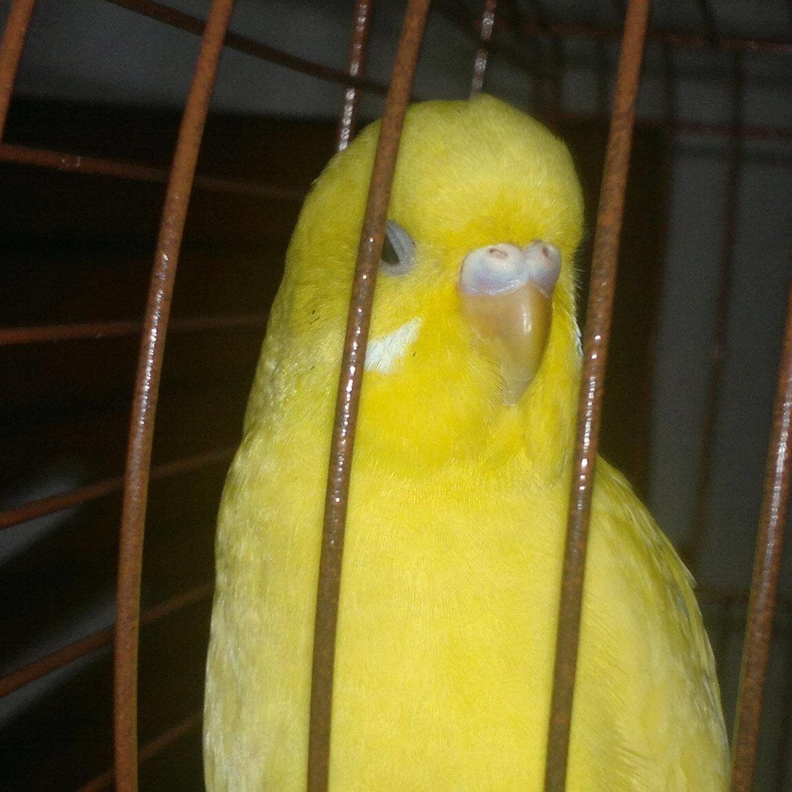 mustafaserbes34's profile picture. 