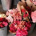 يمثلني آلهدوء كثيراً وﻻ اعتقد بأن هناكـ شيئَاً اجمل منه .. غداً سنكون ذكرى ، فقط ابتسموا و سامحوا فالجنة تحتاج قلوباً سليمة' ❤