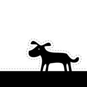 Freelance Graphic Designer