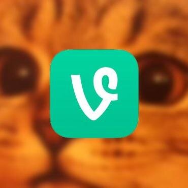 たった6秒でキュン死にしてしまう様な「vine」のかわいい動物動画をご紹介します♡
かわいいと思ったらフォロー＆RTしてね♪
