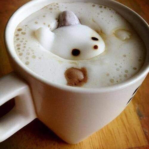 solaaire's profile picture. 